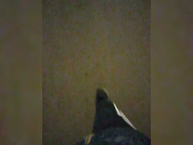 StacyMilk's BongaCams show and profile