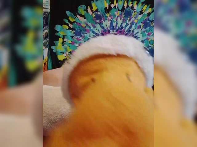 StacyMilk's BongaCams show and profile