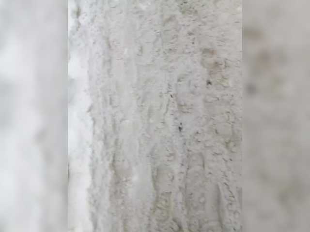 StacyMilk's BongaCams show and profile