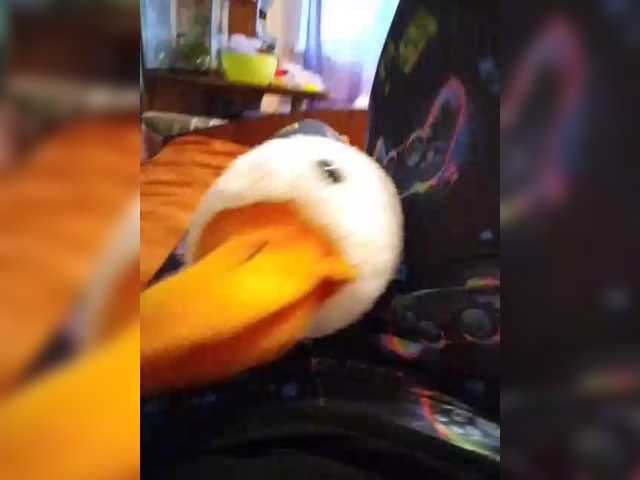 StacyMilk's BongaCams show and profile