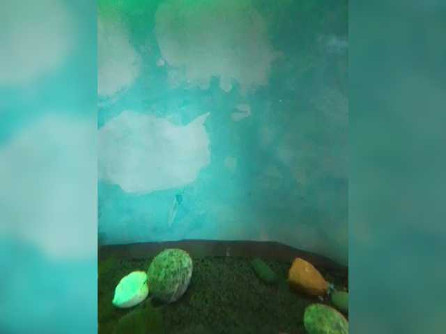 StacyMilk's BongaCams show and profile