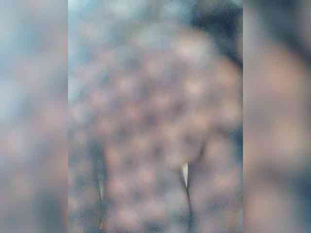 EVIL_TITS webcam