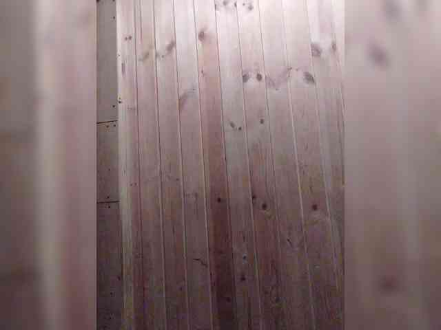 EVIL_TITS webcam