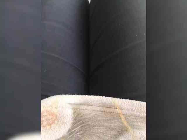 EVIL_TITS webcam