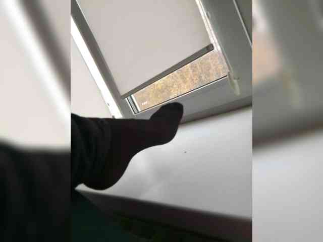 EVIL_TITS webcam
