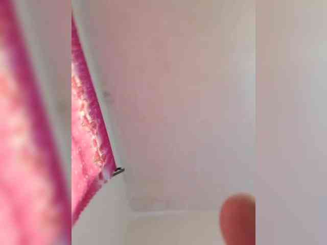 freaky-pinnah webcam