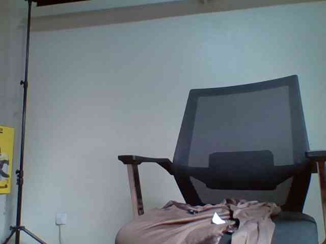 freaky-pinnah webcam