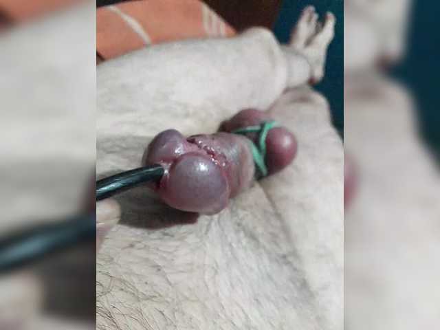 Andreo73