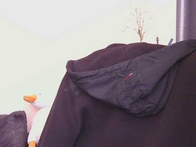 Medjik-lool's BongaCams show and profile