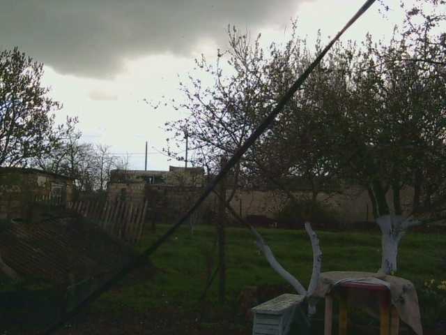 Medjik-lool's BongaCams show and profile