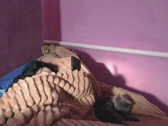 Medjik-lool's BongaCams show and profile