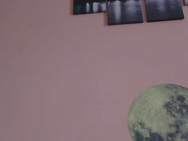 Ornotores_wers webcam