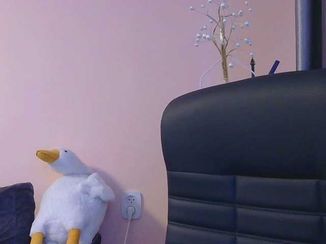Medjik-lool's BongaCams show and profile