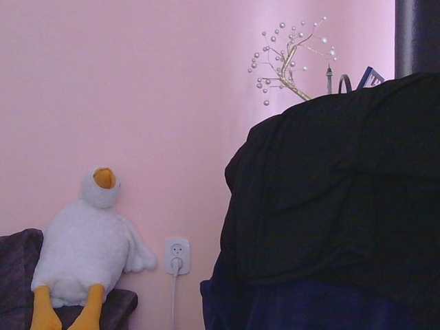 Medjik-lool live cam profile