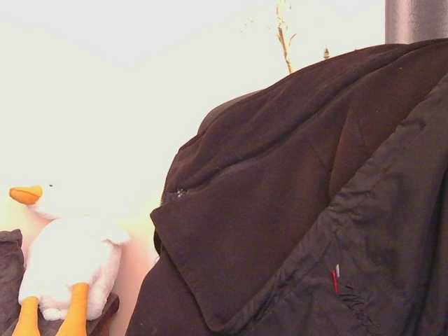 Medjik-lool's BongaCams show and profile