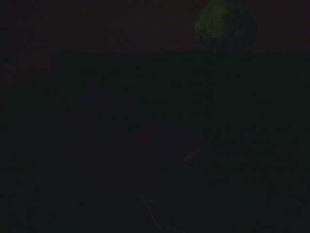 Medjik-lool's BongaCams show and profile