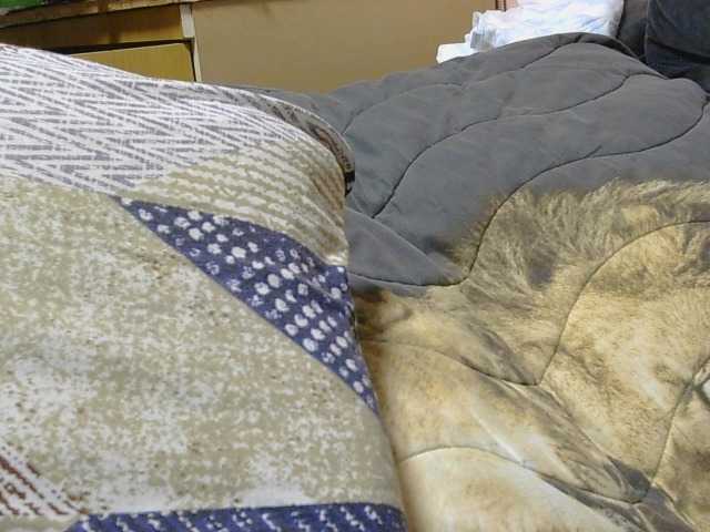 le modèle Ornotores_wers est en webcam porno dans un show sur le site bongacams, il possède les tags suivants: White/Caucasian,Brunette,Shaved