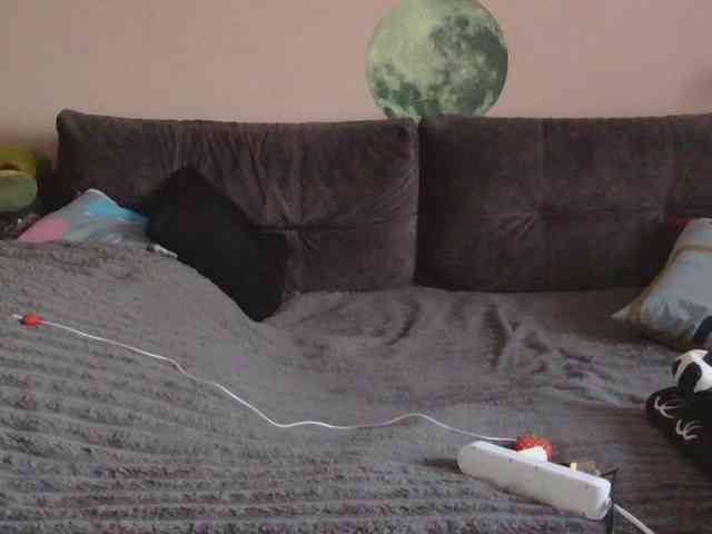 Ornotores_wers webcam