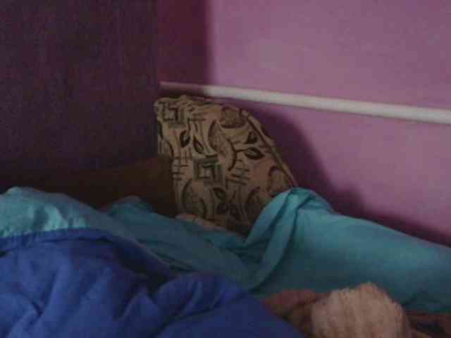 Ornotores_wers webcam