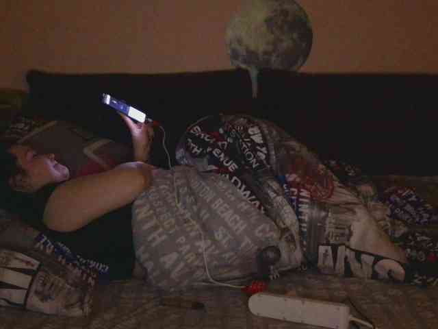 Ornotores_wers webcam