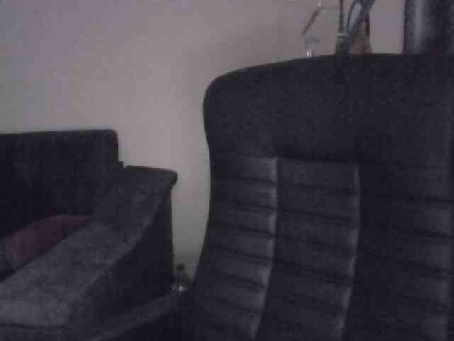 Ornotores_wers webcam