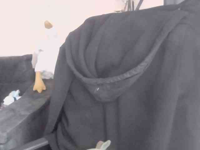 Ornotores_wers webcam