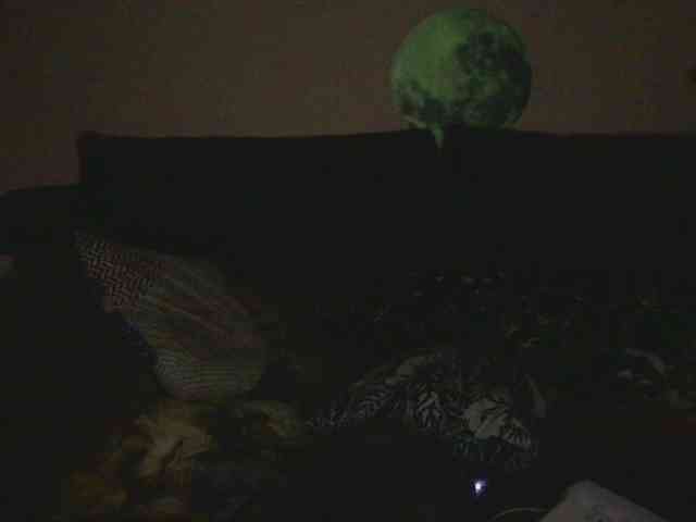 Ornotores_wers webcam