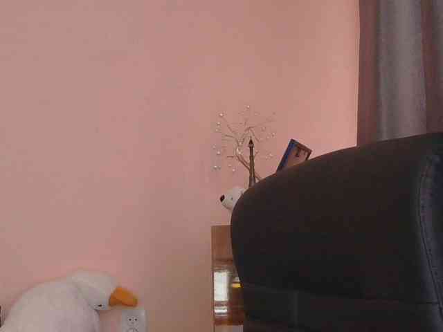 Ornotores_wers webcam