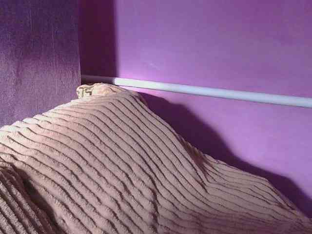 Ornotores_wers webcam