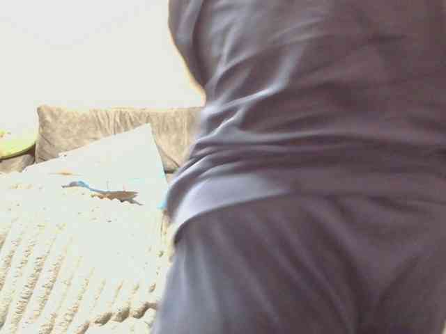 Ornotores_wers webcam