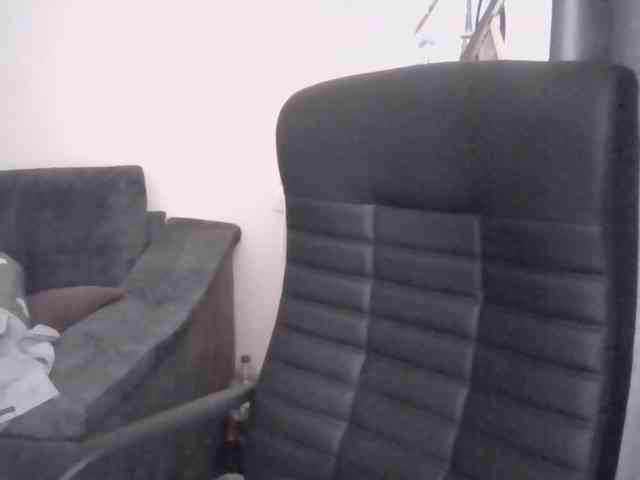 Ornotores_wers webcam