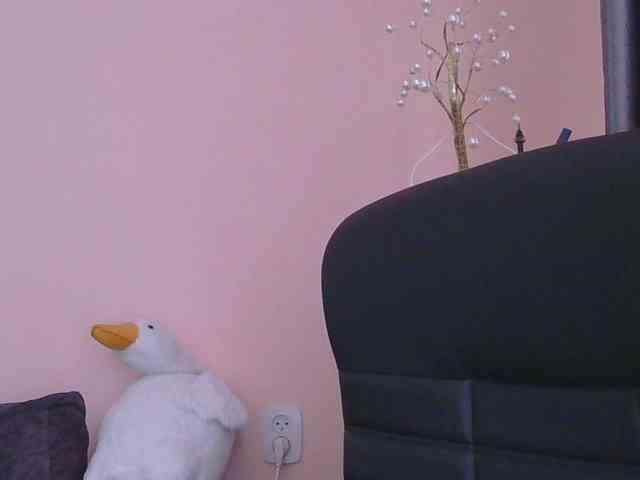 Ornotores_wers webcam