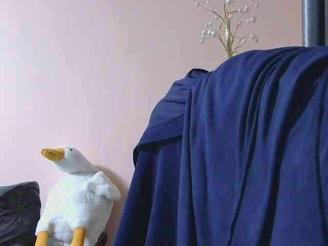 Ornotores_wers webcam