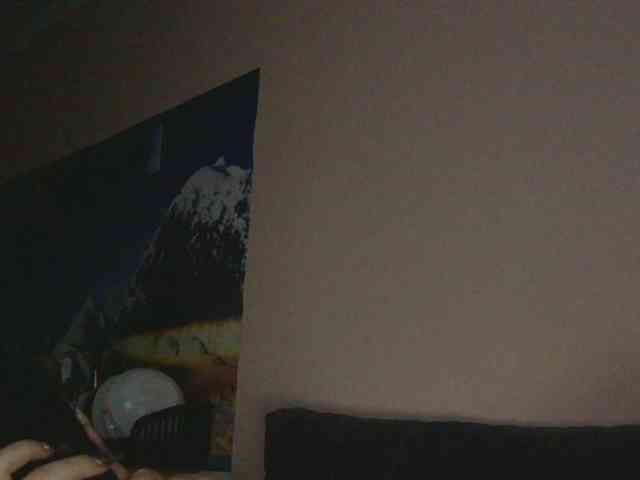 Ornotores_wers webcam