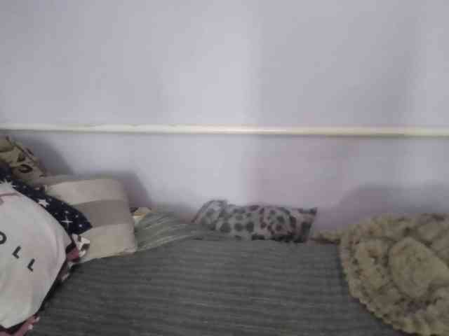 Ornotores_wers webcam