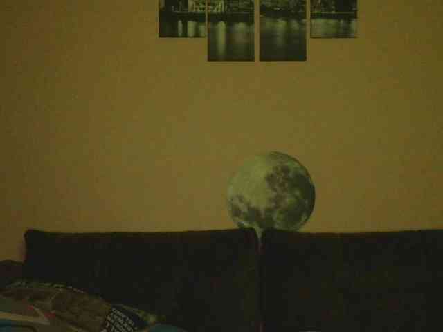 Ornotores_wers webcam