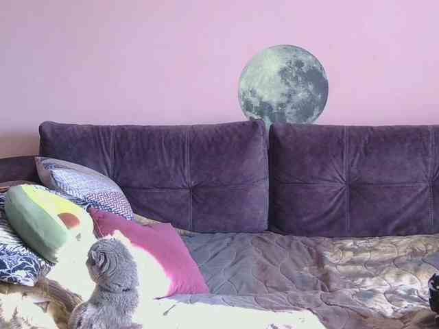 Ornotores_wers webcam