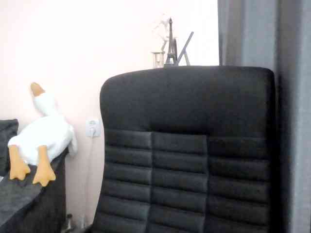 Ornotores_wers webcam