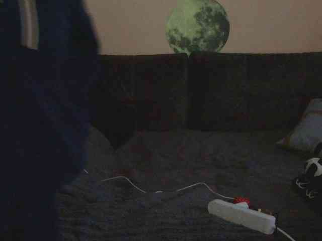 Ornotores_wers webcam