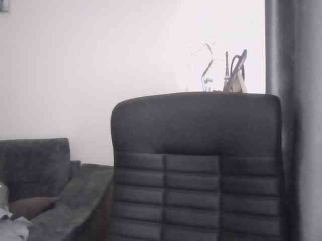 Ornotores_wers webcam