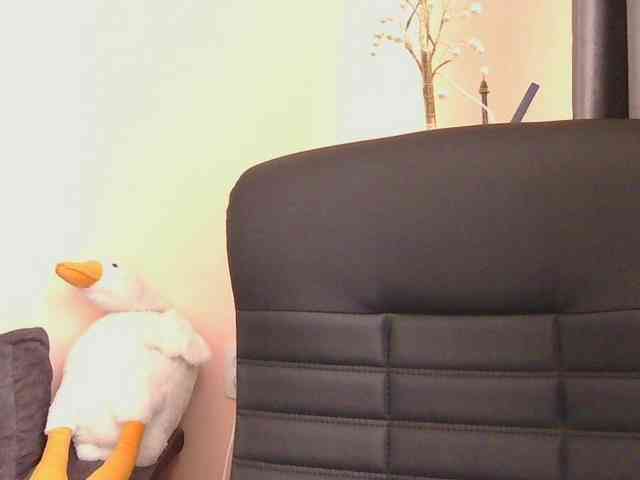 Ornotores_wers webcam