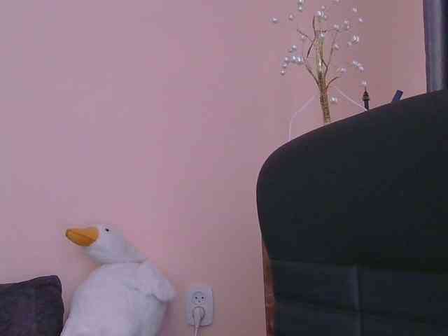 Ornotores_wers webcam