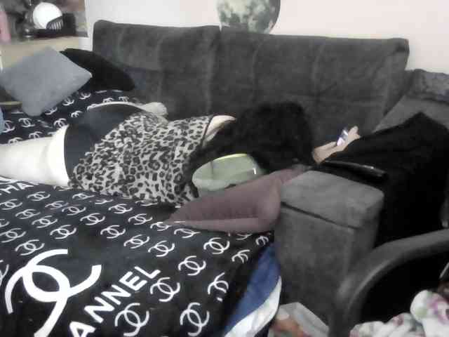 Ornotores_wers webcam