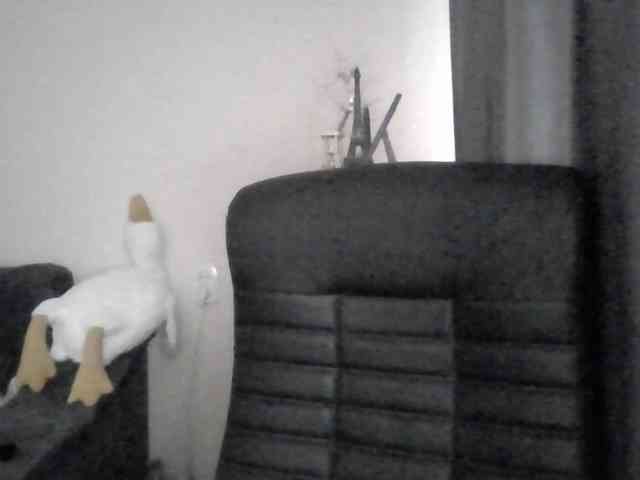 Ornotores_wers webcam