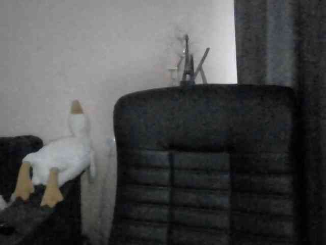 Ornotores_wers webcam