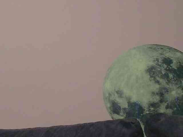 Ornotores_wers webcam