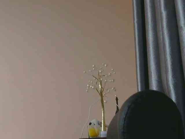 Ornotores_wers webcam