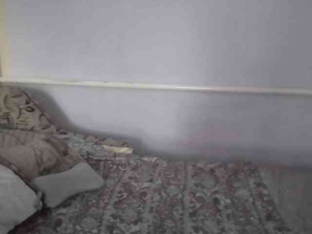Ornotores_wers webcam