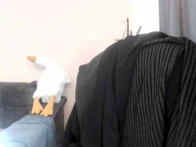 Ornotores_wers webcam