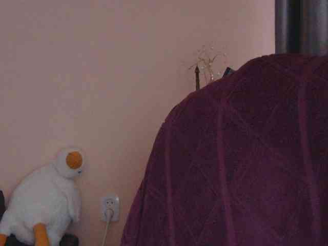 Ornotores_wers webcam